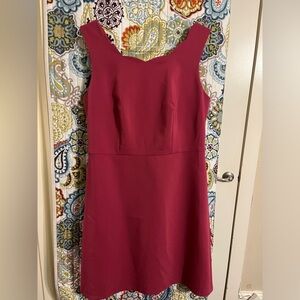 NWT! The Limited Size 12 Large Pink Scallop Dress